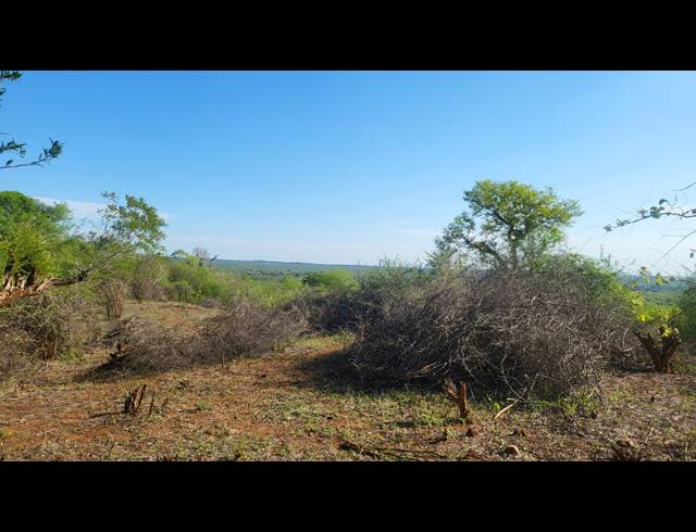 28HA VACANT LAND FOR SALE IN MANGONDI B